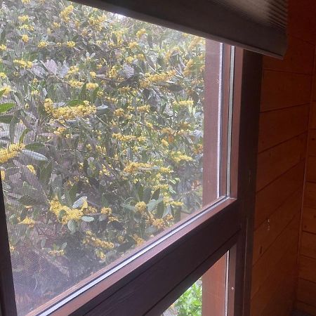 Apartamentos El Bosquet Sant Cugat del Vallès Eksteriør bilde